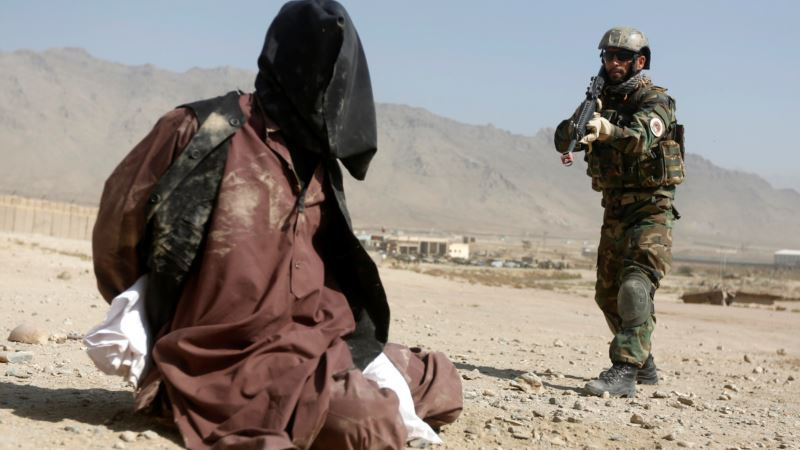 ولسوال-نام-نهاد-طالبان-با-چچنی-در-لوگر-کشته-شد