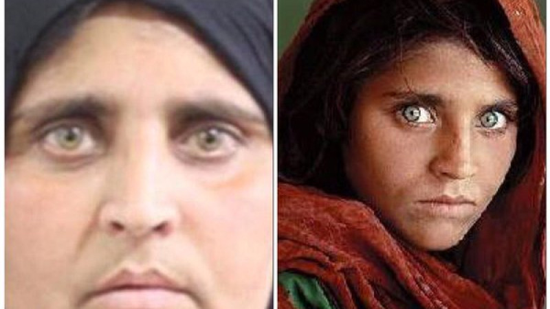 پاکستان-خانم-مشهور-چشم-سبز-افغانستان-را-بازداشت-کرد