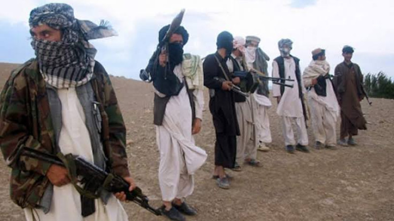 طالبان-تا-آخر-امسال-افغانستان-را-تصرف-می‌کنند