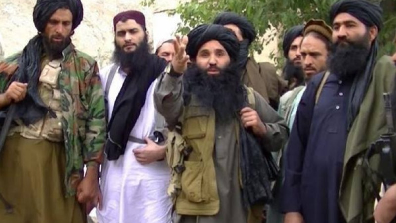 طالبان-از-خواب-زمستانی-به-میدان-جنگ-فراخوانده-شدند