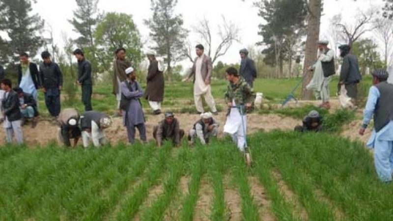کمک-دو-میلیون-دالری-استرالیا-به-زراعت-افغانستان