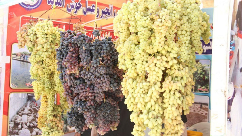ششمین-جشنواره-انگور-هرات؛-کشاورزان-از-نبود-بازار-شکایت-دارند