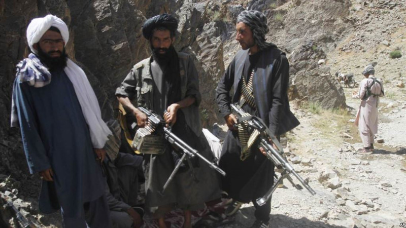 طالبان-مسلح-راس-گوسفند-را-از-سرپل-سرقت-کردند