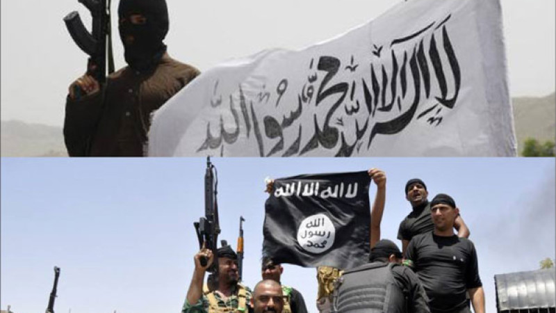 -طالب-مسلح-و-داعشی-در-ننگرهار-کشته-شدند