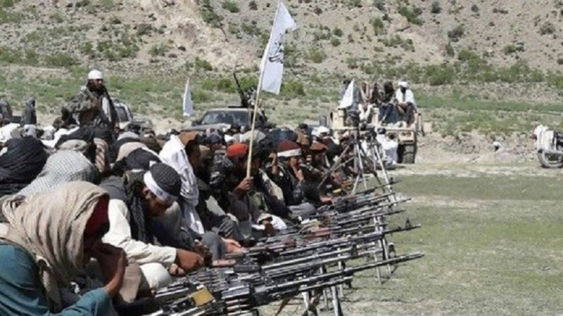 تلفات-مرگ‌بار-طالبان-مسلح-در-ولایت-قندهار