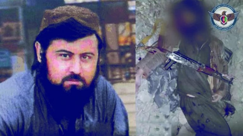 فرمانده-طالبان-با-یک-عضو-مهم-القاعده-در-پکتیکا-کشته-شدند