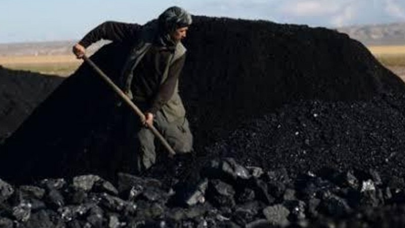 بهای-یک-تن-زغال-سنگ-نه-هزار-افغانی-تعیین-شد