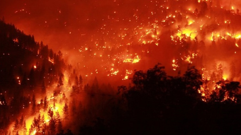 آتش‌سوزی-مرگبار-و-گرمای-شدید-در-کالیفرینای-امریکا