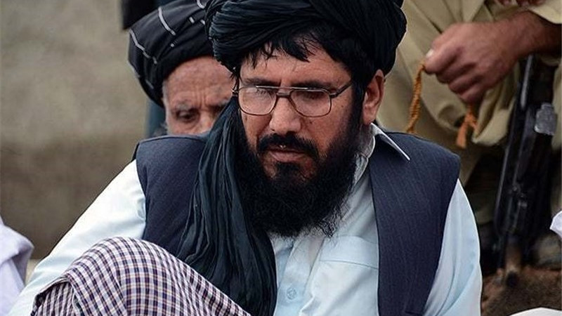گروه-انشعابی-طالبان-از-سوی-حکومت-افغانستان-حمایت-میشود