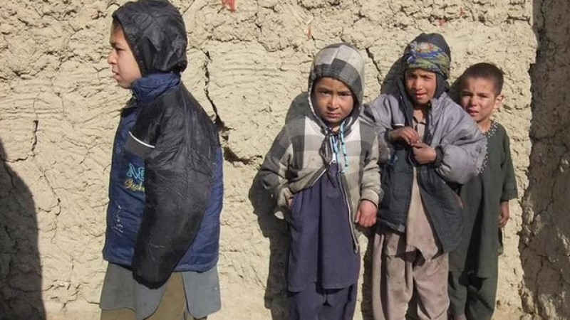 ۱۶-میلیون-افغان-با-فقر-دست-و-پنجه-نرم-می-کنند