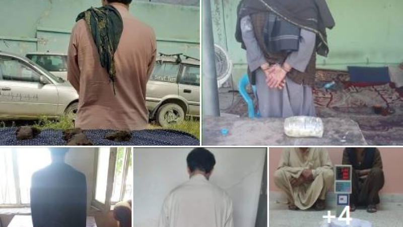 ۱۲-قاچاق‌بر-مواد-مخدر-از-چهار-ولایت-بازداشت-شدند