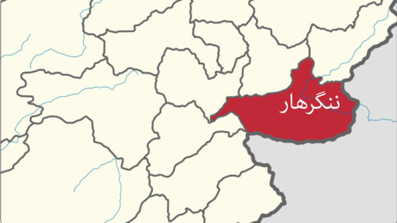 عضو-گروه-طالبان-در-ننگرهار-بازداشت-گردید