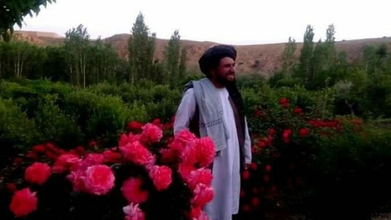 والی-نام-نهاد-طالبان-برای-میدان-وردک-به-قتل-رسید