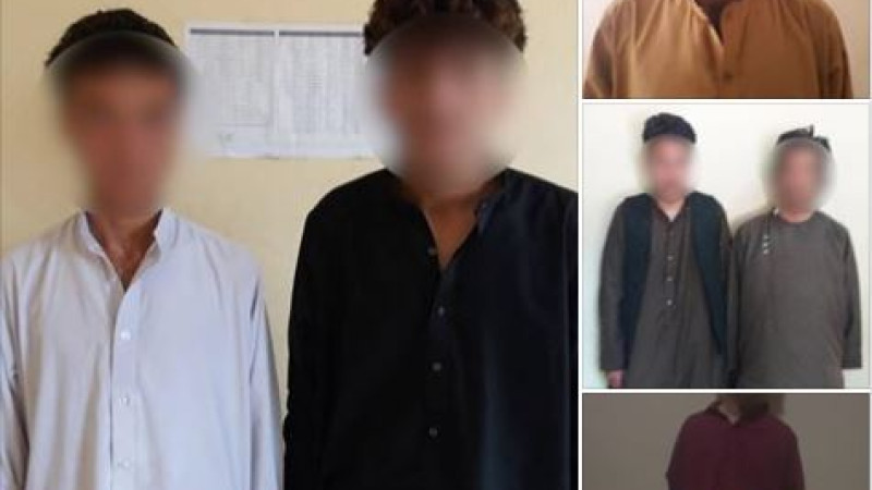 ۱۱-تن-به-اتهام-جرایم-جنایی-از-ولایت-هرات-بازداشت-شدند