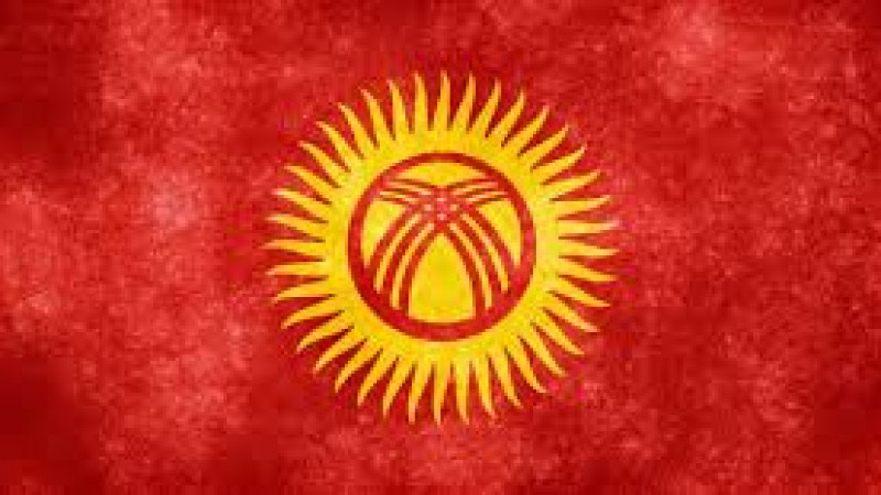 اجلاس-بین-المللی-حفاظت-از-پلنگ-برفی-در-قرغیزستان-برگزار-می-شود