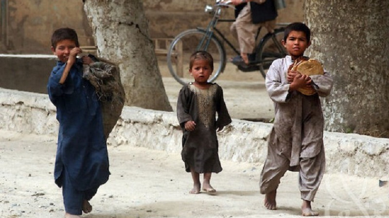 نزدیک-به-درصد-افغان‌ها-غذای-کافی-برای-خوردن-ندارند