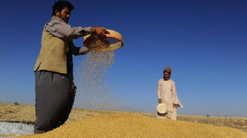 هشدار-سازمان-ملل-در-مورد-کاهش-درصدی-تولید-ناخالص-افغانستان