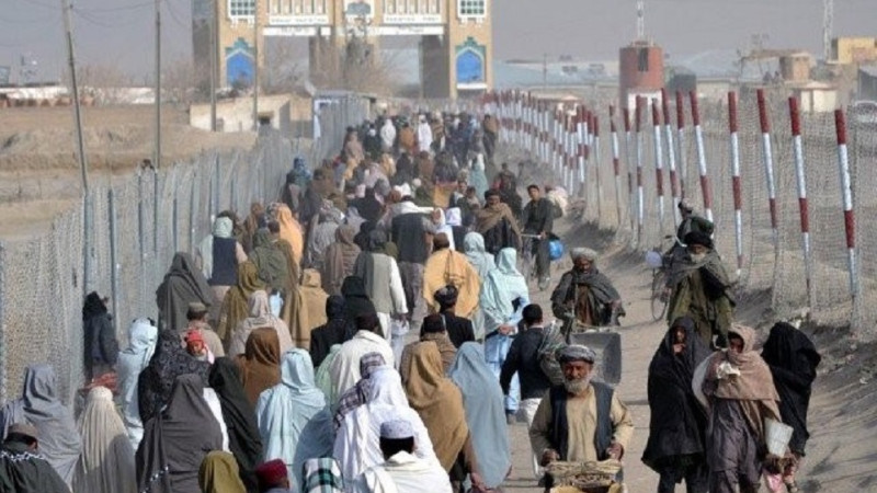 پاکستان-نزدیک-به-۲۴۰-مهاجر-افغان-را-به-کشور-برگردانده-است