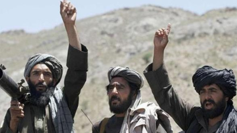 طالبان-از-کاندیدان-مشخص-پارلمانی-حمایت-می-کنند