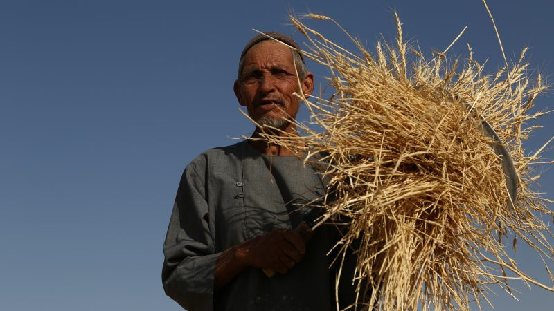 برنامه-جهانی-غذا-برای-کمک-به-۱۰میلیون-افغان-بودجه-نداریم