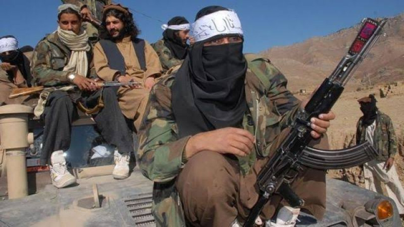طالبان-پاکستانی-عملیات-بهاری-شان-را-اعلام-کردند