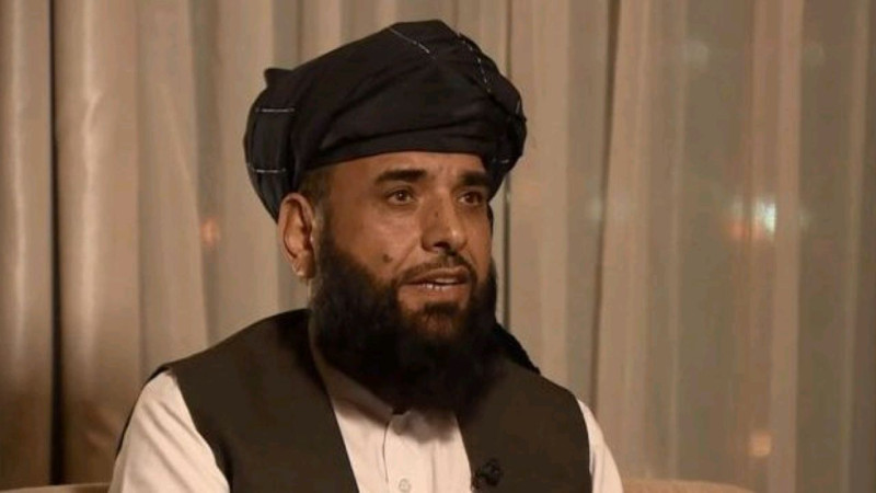 شاهین-طالبان-به-افغانستان-و-منطقه-امنیت-بخشیده-اند