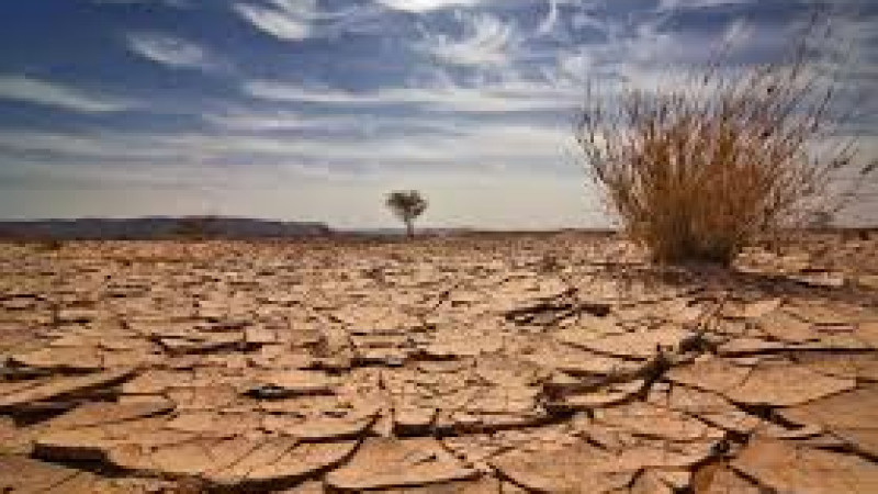 خشکسالی-زندگی-هزار-خانواده-بامیانی-را-تهدید-می-کند