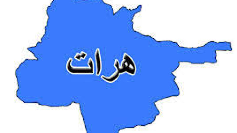 قاضی-نام-نهاد-طالبان-در-هرات-کشته-شد