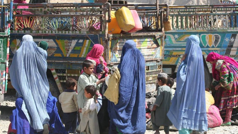 -هزار-مهاجر-افغان-در-پاکستان-بدون-کارت-هستند