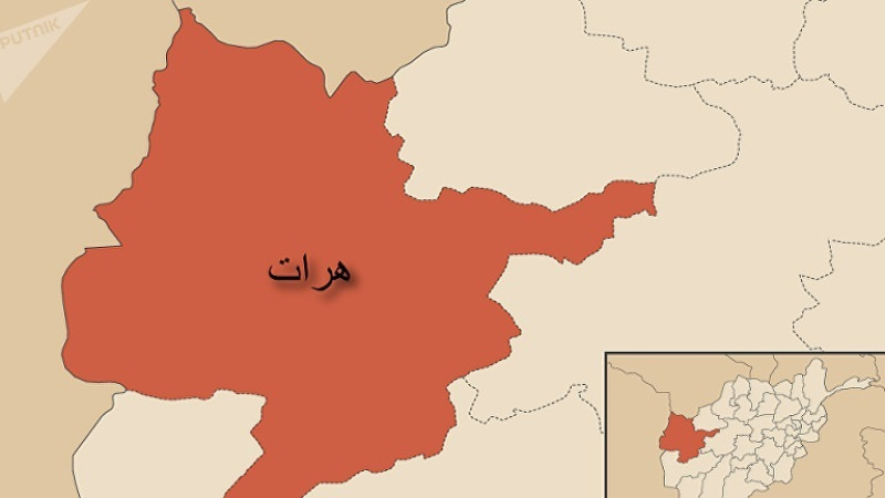 -عضو-کلیدی-گروه-طالبان-در-ولایت-هرات-کشته-شدند