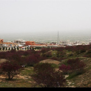 از-غصب-زمین-تا-نبود-اراضی-برای-خانواده-های-شهدا