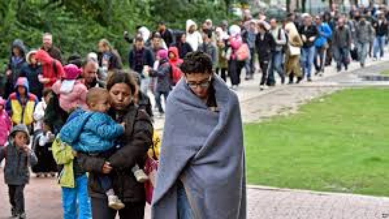 اخراج-پناهجویان-بر-اساس-قومیت،-جنسیت-و-منطقه