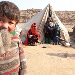 خانواده-های-آسیب-دیده-در-هرات-کمک-های-بشردوستانه-دریافت-کردند