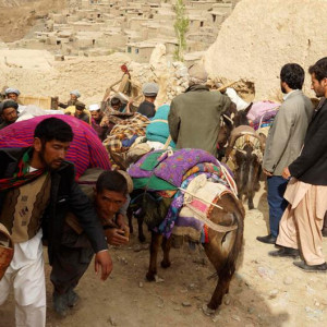 هزار-خانواده-بر-اثر-حملات-طالبان-در-ولایت-فراه-آواره-شدند