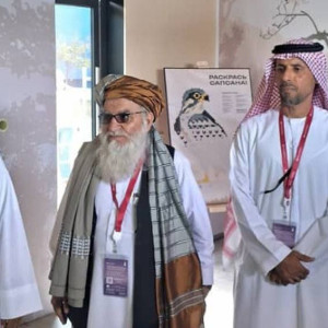 ابراز-علاقه-امارات-برای-سرمایهگذاری-در-پروژههای-محیط-زیست-در-افغانستان