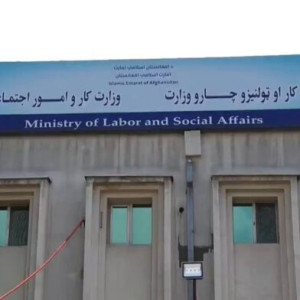 وزارت-کار-از-توزیع-۳۳-هزار-جواز-کاری-خبر-داد