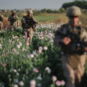 آمار-تکاندهنده-از-اعتیاد-پولیس-و-سربازان-خیالی