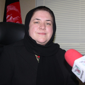 تنها راه مصرف بودجه در وزارت خانهها؛ عملی شدن برنامه سی بی آر است