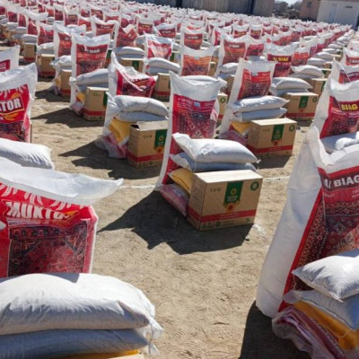 توزیع-مواد-خوراکی-برای-۶۰۰-یتیم،-بیوه-و-معلول-در-ولایت-غزنی