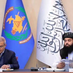 عبدالکبیر-با-انتقاد-از-پاکستان-خواستار-حمایت-جهانی-از-مهاجران-شد