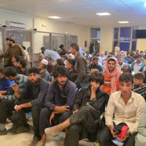 توزیع-روزانه-۷۵۰۰-سیمکارت-رایگان-برای-مهاجرین-تازهوارد-در-هرات