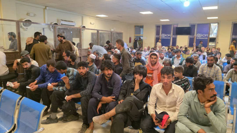 توزیع-روزانه-۷۵۰۰-سیمکارت-رایگان-برای-مهاجرین-تازهوارد-در-هرات