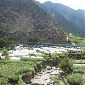 نصب-بیش-از-۵-هزار-خیمه-برای-زلزلهزدگان-کنر