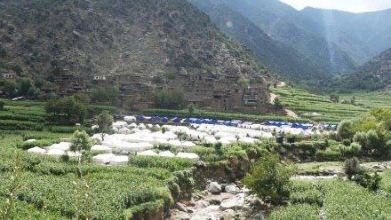 نصب-بیش-از-۵-هزار-خیمه-برای-زلزلهزدگان-کنر