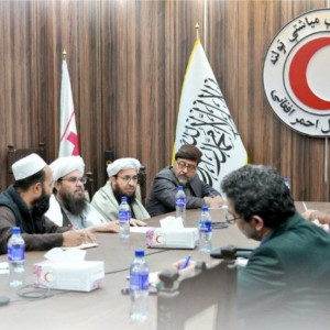 دلاور-و-رییس-بینالمللی-صلیب-سرخ-دیدار-کردند