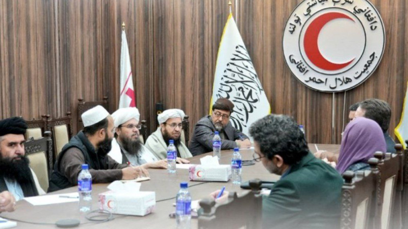 دلاور-و-رییس-بینالمللی-صلیب-سرخ-دیدار-کردند