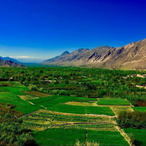 درگیری-بر-سر-آب-چاه-جان-یک-تن-را-گرفت