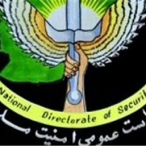 مسئول-و-طراح-حملات-تروریستی-طالبان-در-بخش-علما-بازداشت-شد