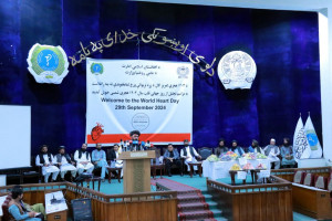 وزارت-صحت-از-افزایش-بیماریهای-قلبی-در-کشور-خبر-داد