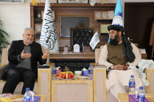 دیدار حنفی با سفیر ایران در کابل